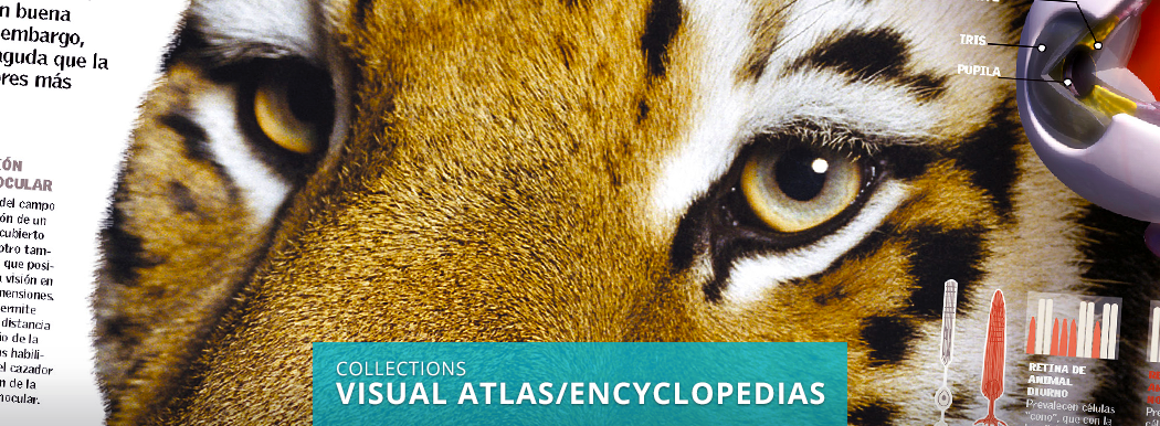 Collection Visual Atlas/Encyclopedias